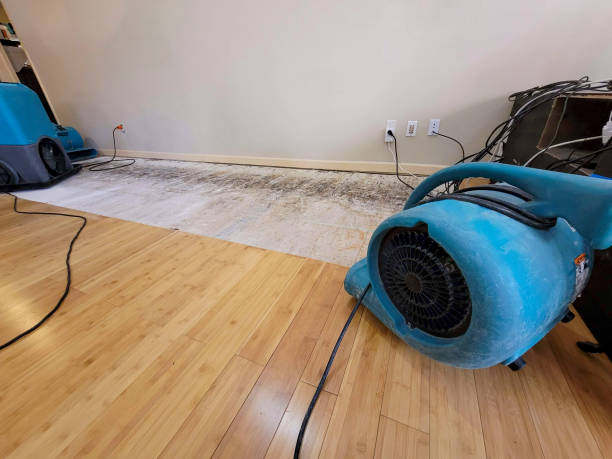 Professional Basement Flood Cleanup technician working in Tracy City, TN